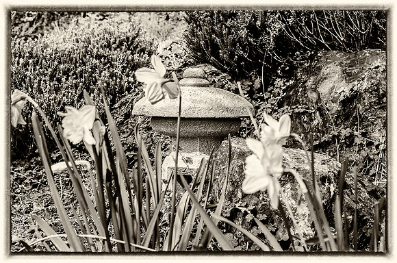 Early Spring Blooms-20