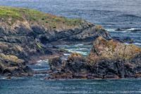 Albion River--15