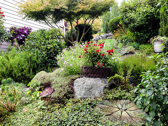 04-01 SDZ Garden Yard JPEGs-906