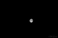 03-29 Early Morning Moon-1
