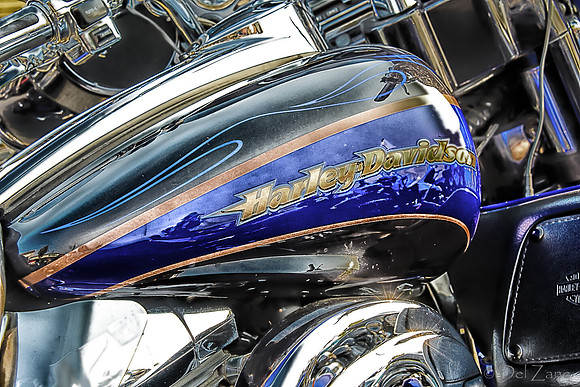 09-23 Oyster Run-2