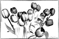 03-10 Night Time Tulips--6