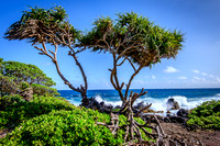 Big Waves from Hana-3