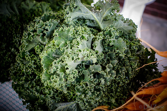 10-05 Farmers' Market--81
