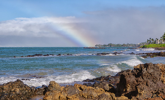 01-25 Maui Rainbow Tiffs--9
