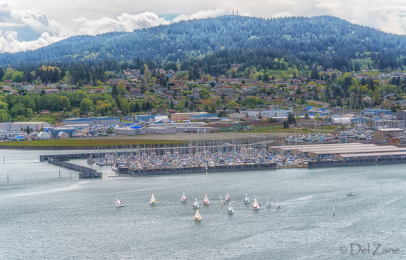 04-27 PM NWISSA District Regatta--31
