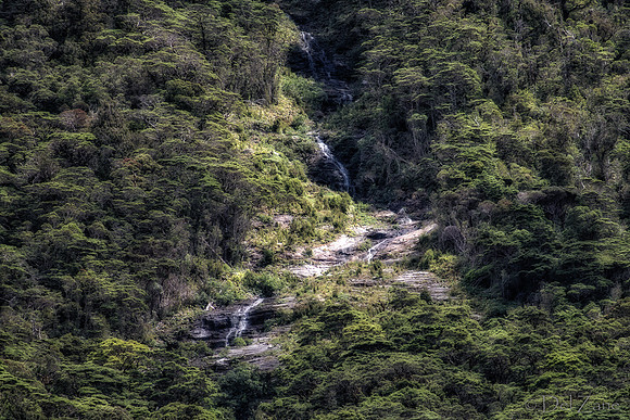 Fiords--9