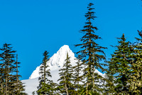 Mt. Baker...Revisted-3