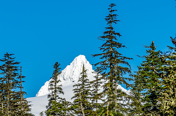 Mt. Baker...Revisted-3
