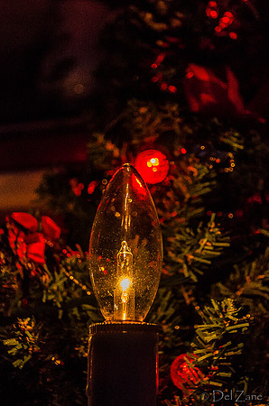 12-15 Small Xmas Tree-5