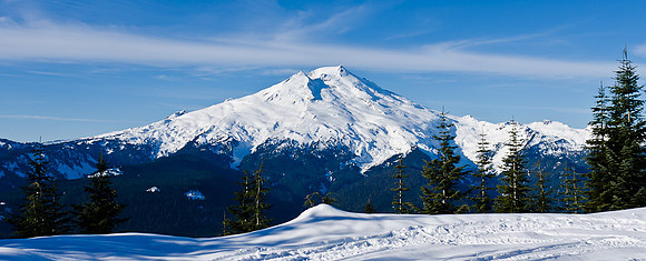 _DSC5003