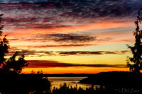 02-22 Homeland Sunset Tiffs--8