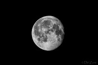 03-29 Early Morning Moon-5