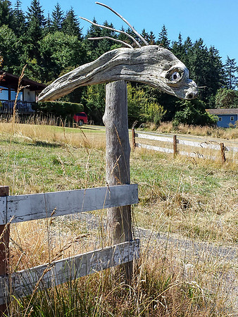 07-27 Biking Lopez Island  JPEGs-113204