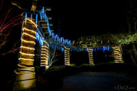 12-03 MH Nighttime Xmas Display--8