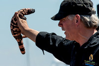07-20 Misc Animals_reptiles-