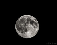 07-11 Super Moon Tiffs-2
