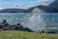 10-19 Tugboat Park--9