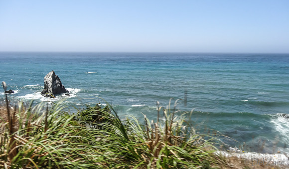 SDZ Trip Pix--37