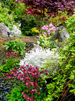 04-01 SDZ Garden Yard JPEGs-007