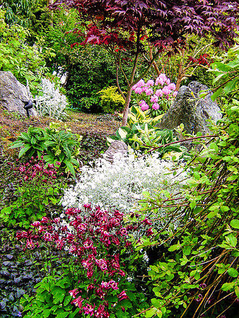 04-01 SDZ Garden Yard JPEGs-007