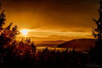 Golden Sunset
