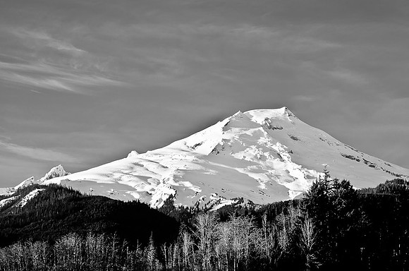 _DSC5113