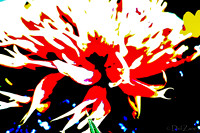 09-19 Colorized Bouquet Bokeh-0300