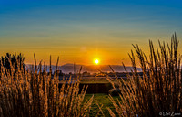 Fenceline Sunrise 09-20-2020