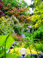 04-01 SDZ Garden Yard JPEGs-548