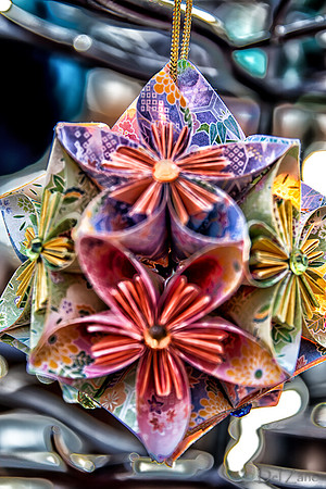 11-23-2013  Xmas Farmers' Market--62