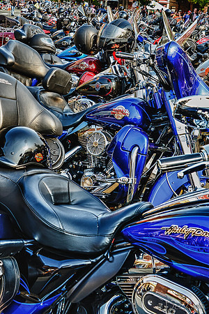 09-23 Oyster Run-20
