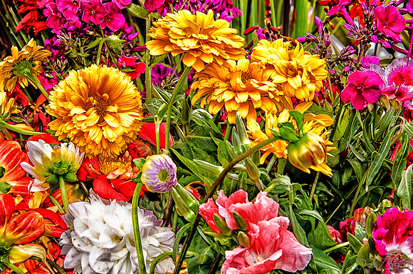 07-21 Farmers' Market-33