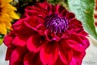09-21 Bouquet Bokeh--8