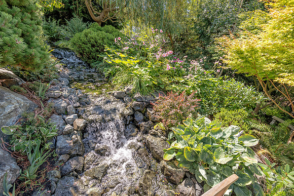 08-17 Shadra Garden 2015 TIFFs--34