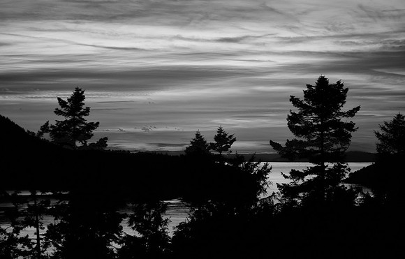 DSC_6900-Edit-Edit-8