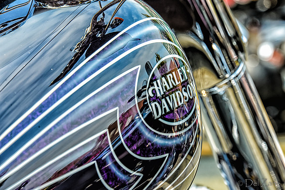 09-23 Oyster Run-68