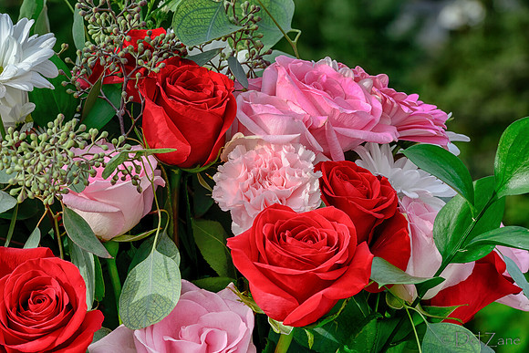 10-30 B'Day Bouquet TIFFs--2