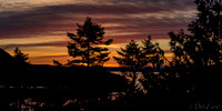 03-11 Vibrant Sunset--7