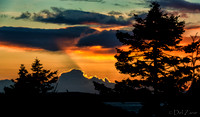 Electric Sunset-2-3