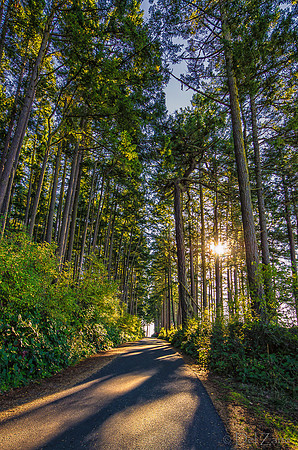 10-18 Washington Park Redux-