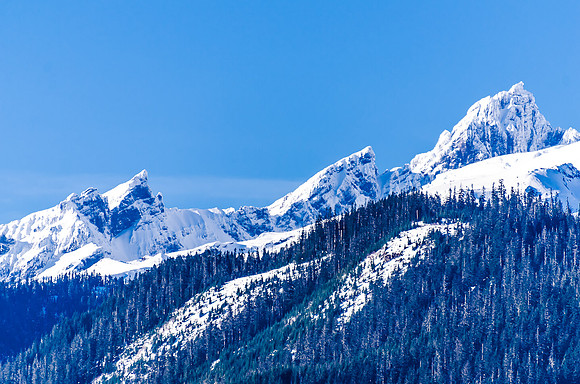 Mt. Baker...Revisted-33