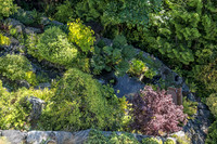 07-23 Upper Deck Shots--12