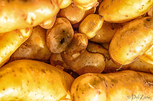 07-21 Farmers' Market-24