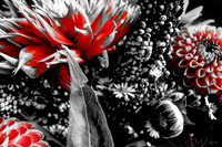 09-19 Colorized Bouquet Bokeh-0303