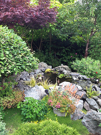 04-01 SDZ Garden Yard JPEGs-930