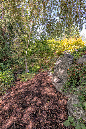 08-17 Shadra Garden 2015 TIFFs--28