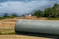 07-18 Fort Casey Tiffs--7