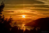 Golden Sunset