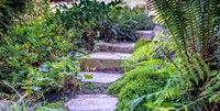 08-17 Shadra Garden 2015 TIFFs--9